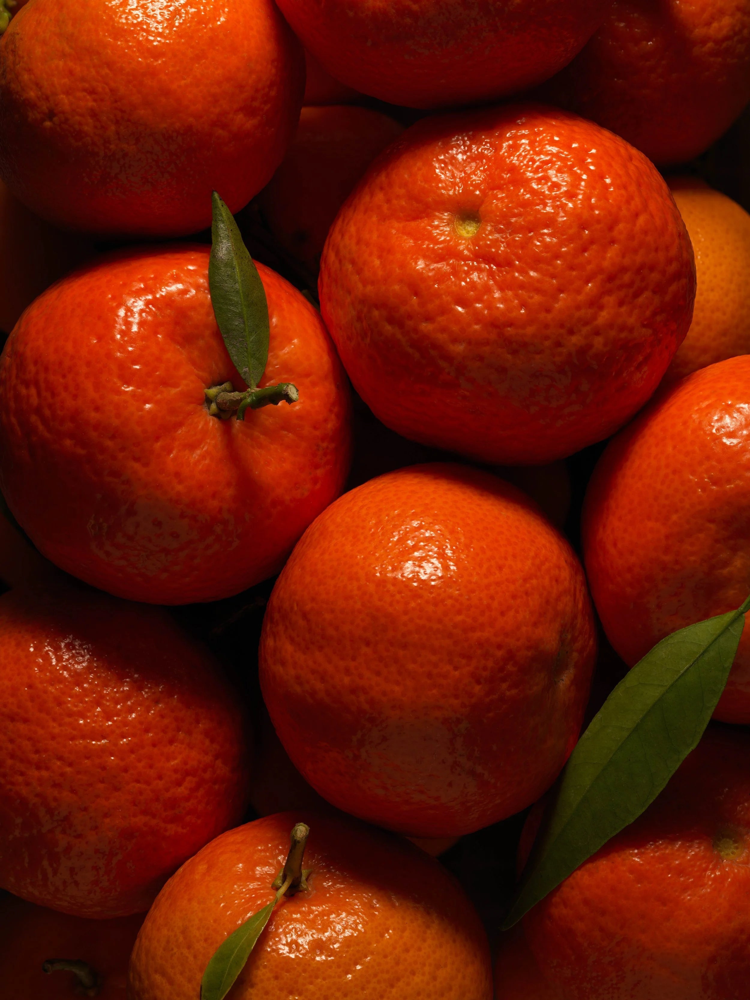 Parfums 100% naturel et bio : réalité ou marketing végan ?