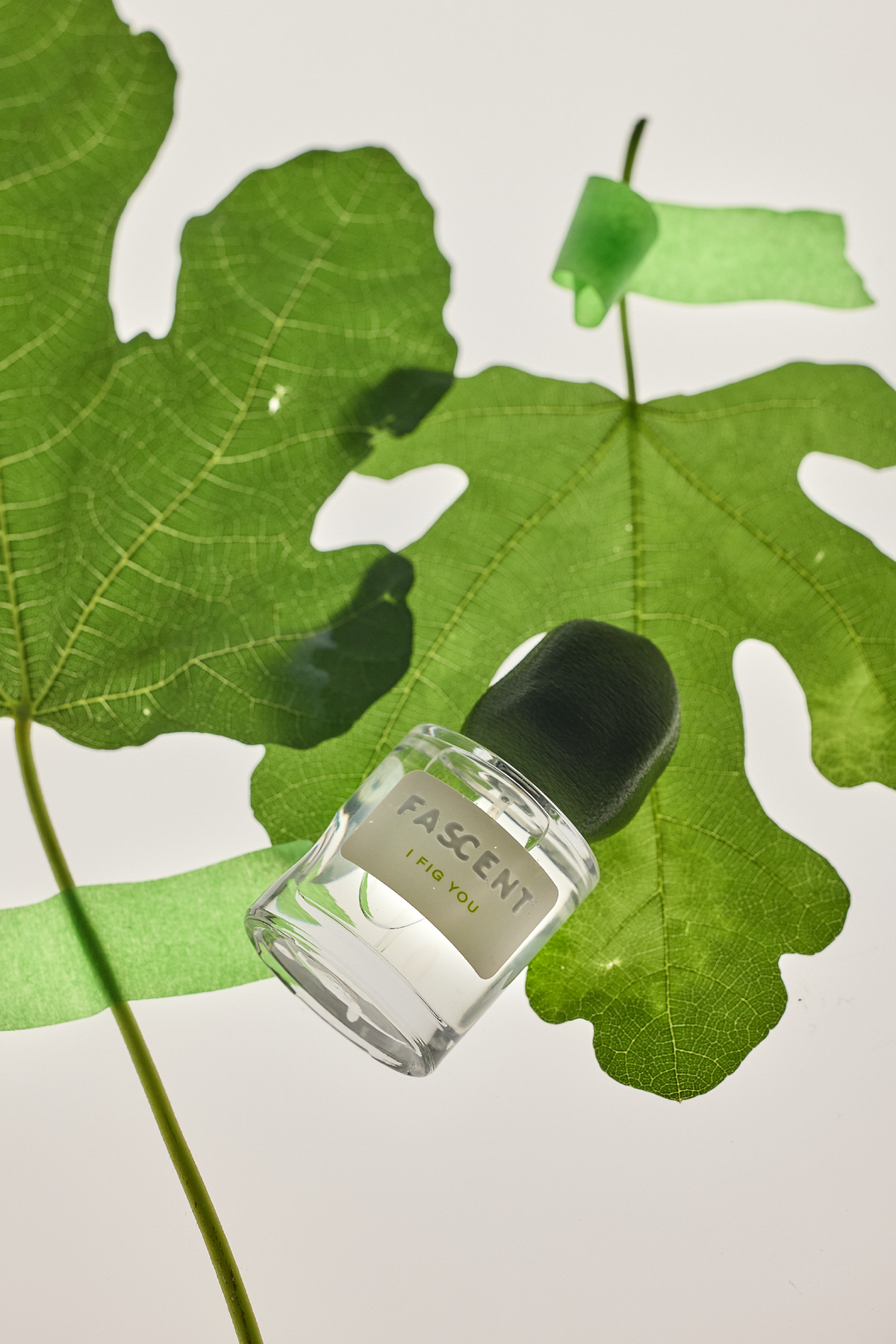 Eau de parfum I FIG YOU de la marque FASCENT 30ml