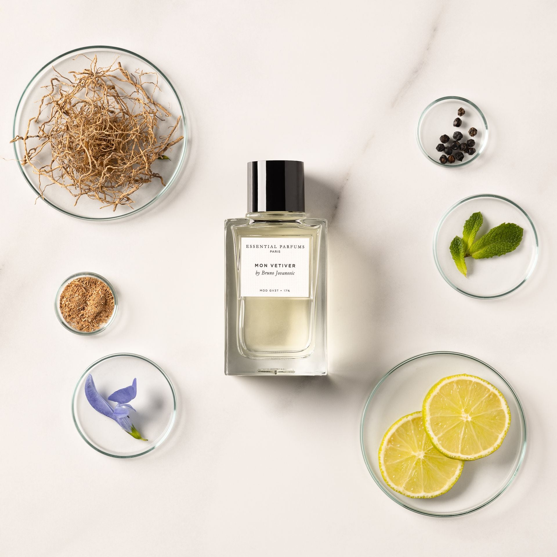 Essential Parfums Eau de Parfum naturelle 100ml Mon Vetiver