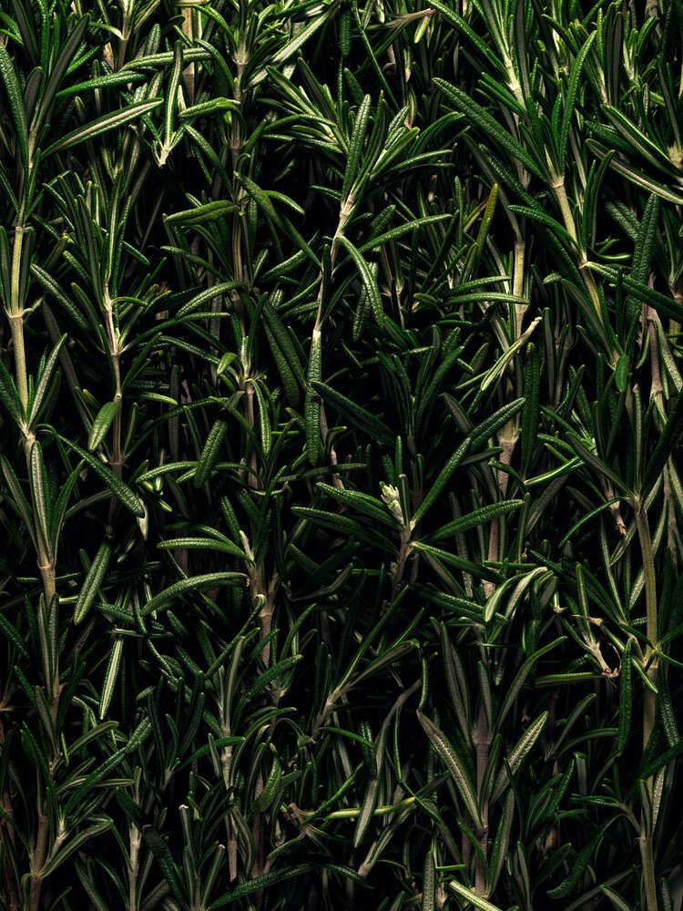 Mariejeanne Brume d'été 100ml parfum mandarine, romarin et petitgrain