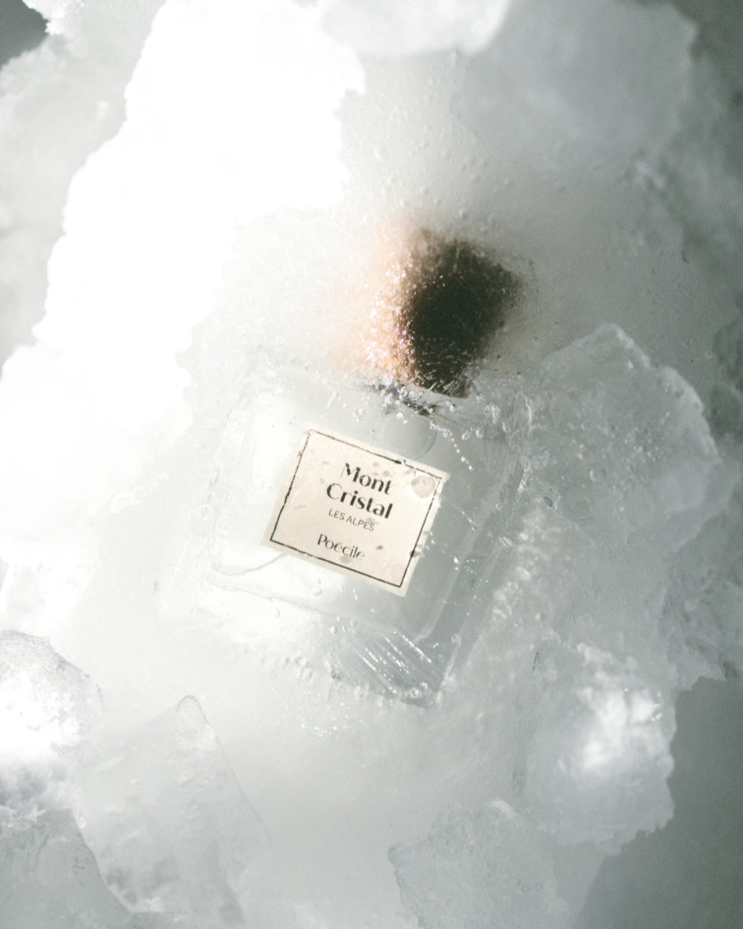 Mont Cristal Poécile parfum inspiré des Alpes nouveautés 2024