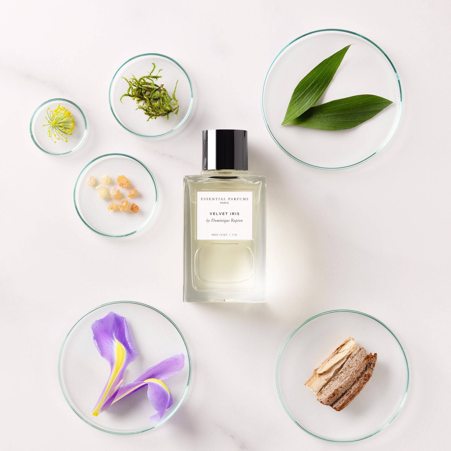 Velvet Iris la nouveauté 2025 de Essential parfums floral boisé parfum iris