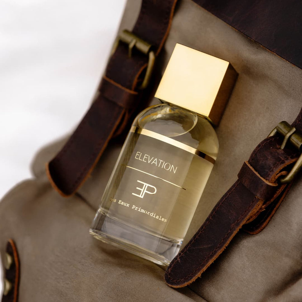 Elevation Les eaux primordiales nouveauté 2026