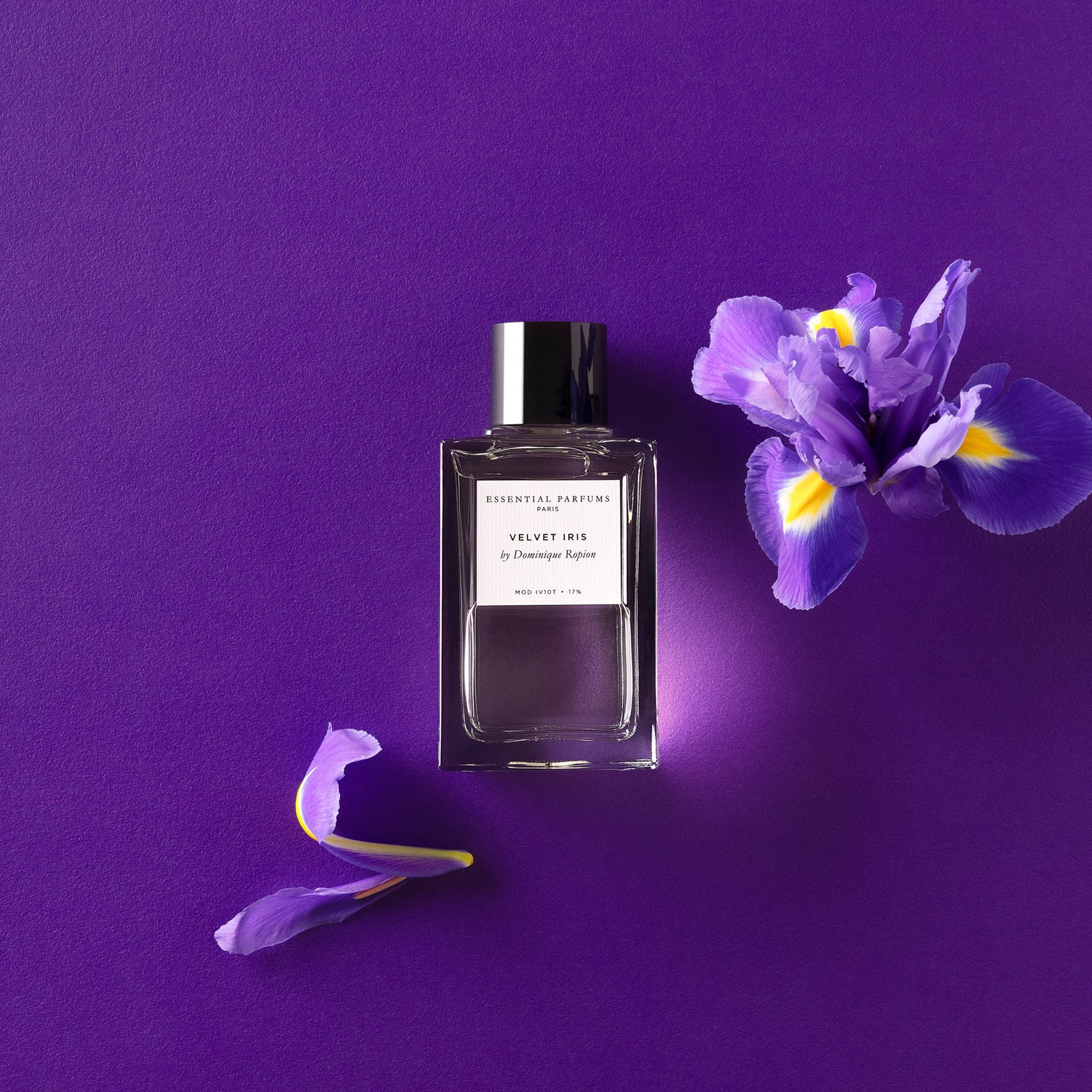 Velvet Iris la nouveauté 2025 de Essential parfums floral boisé parfum iris