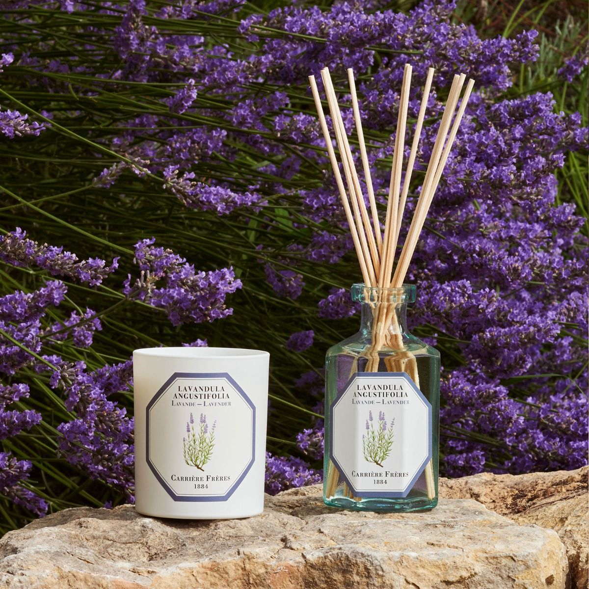 Carriere Freres bougie parfumee à la lavande 185g aromatique