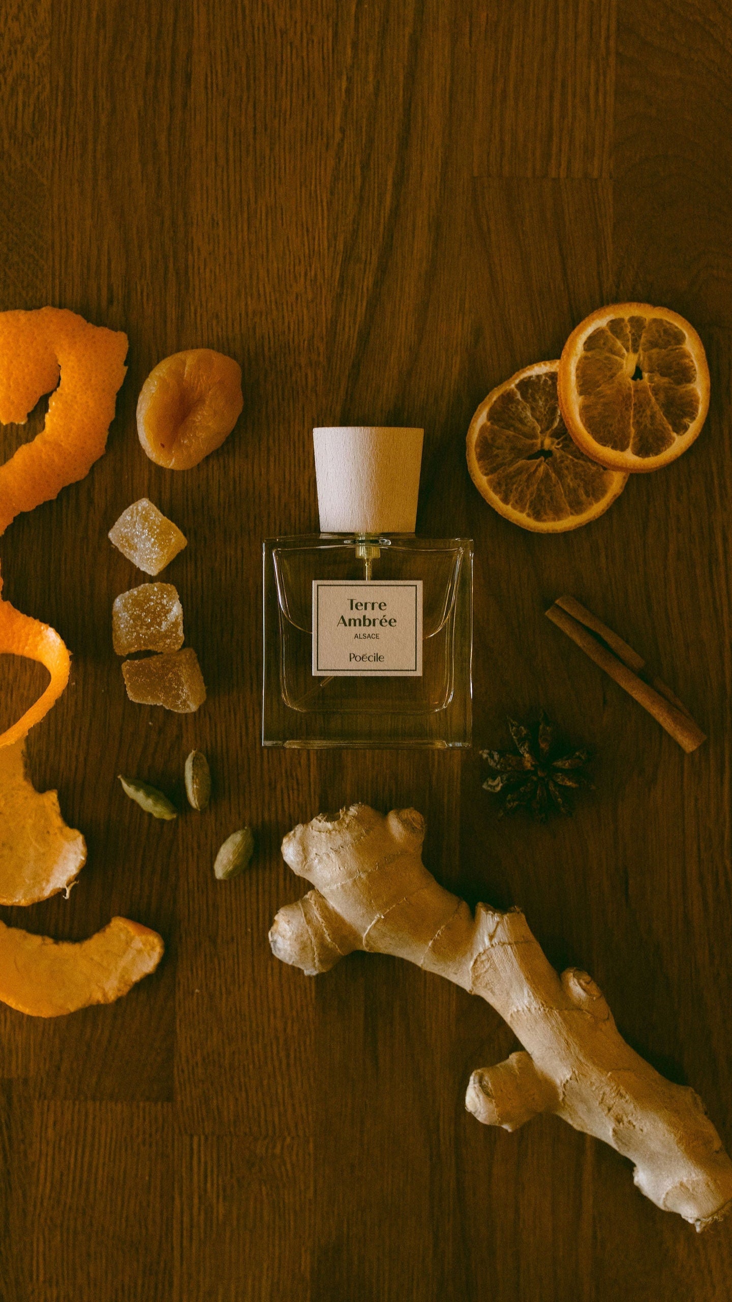 Terre Ambrée